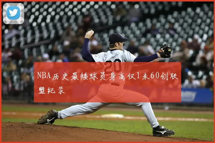 NBA历史最矮球员身高仅1米60创联盟纪录